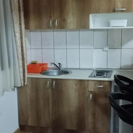 Dobricin 科帕奥尼克