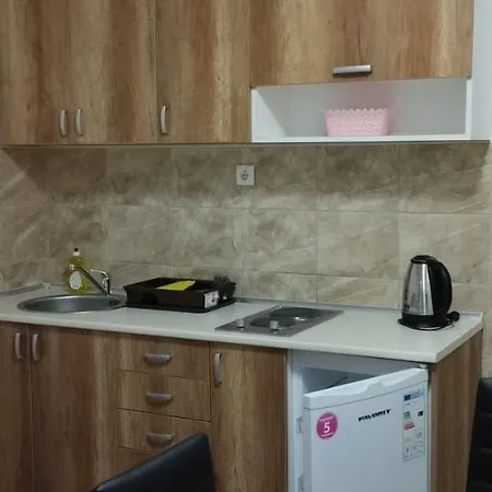 Dobricin Κοπαόνικ