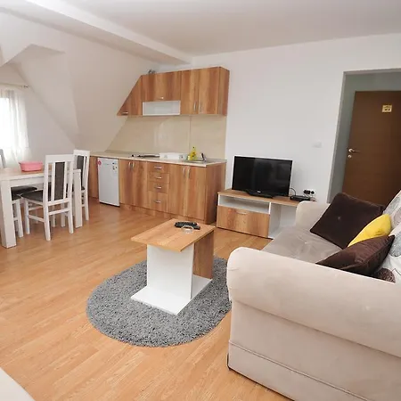 Dobricin 公寓 科帕奥尼克