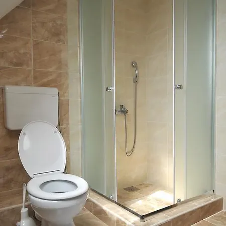 Dobricin * 科帕奥尼克