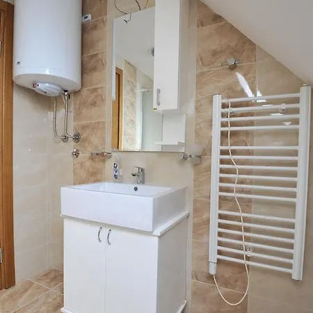 Dobricin 公寓 科帕奥尼克