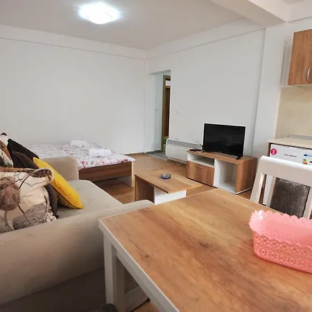 Dobricin 公寓 科帕奥尼克