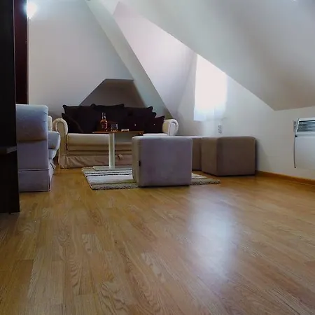 Dobricin 科帕奥尼克