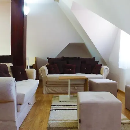 Dobricin * 科帕奥尼克